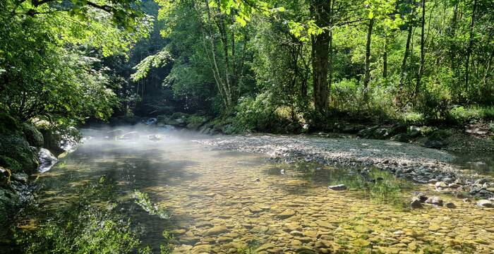 Camp d'été - La musique et la rivière