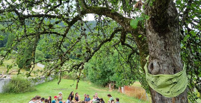 Camp d'été - La musique et la rivière